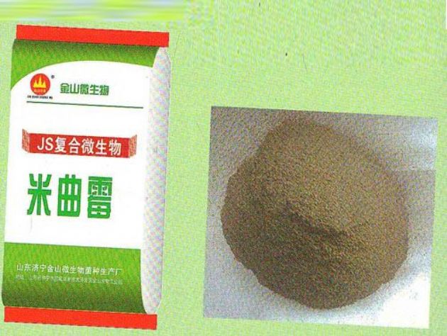 點(diǎn)擊查看詳細(xì)信息<br>標(biāo)題：米曲霉 閱讀次數(shù)：2410